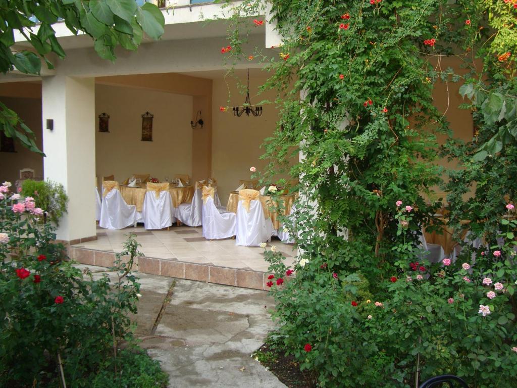 Hostel Tropical 드로베타 투르누 세베린 외부 사진